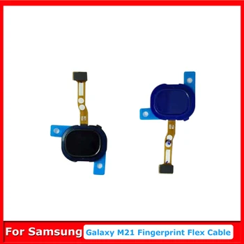 Бутон в Главното Меню За Samsung Galaxy M21 M215F Touch ID Сензор за Пръстови Отпечатъци Скенер Гъвкав Кабел Функция за Връщане на Резервни Части